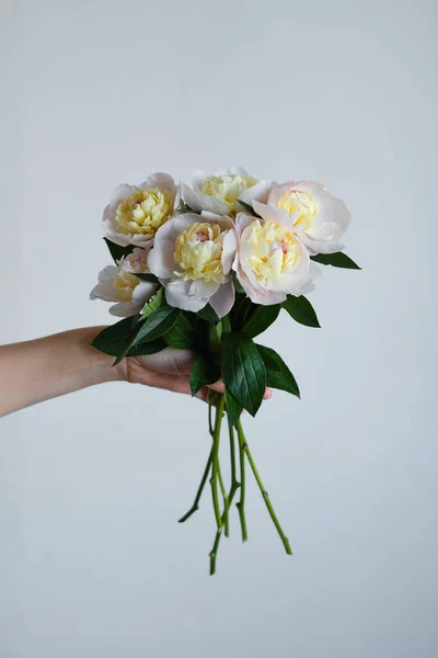 Bazsarózsa Egy Boldog Kezében Stílusos Fehér Bazsarózsa Virágos Kézben Virágárus — Stock Fotó