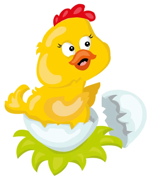 Chicken — Stock Vector