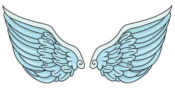 Wings