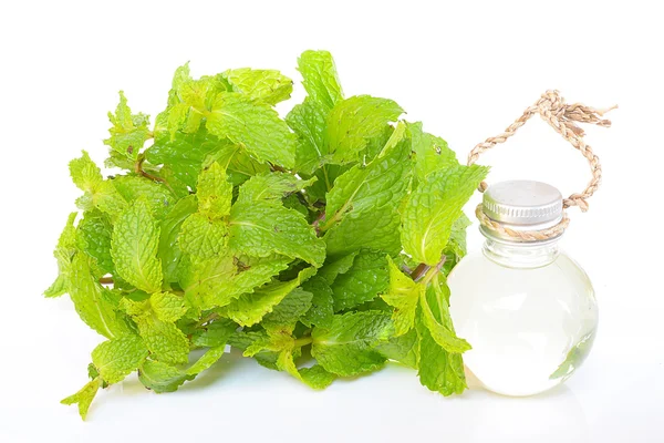 Garrafa de óleo de hortelã-pimenta e hortelã fresca isolada em branco — Fotografia de Stock