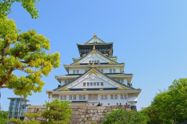 Osaka Castle in autumn clipart