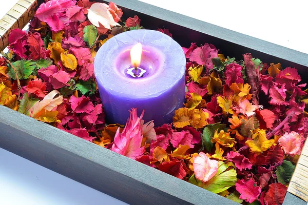 mum ve çeşitli renkli, kokular potpuri