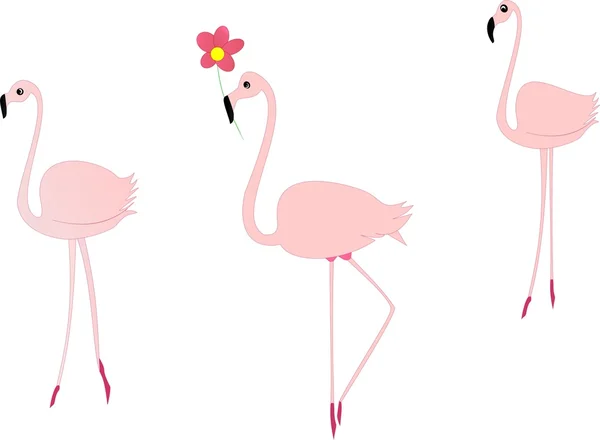 Bunt gezeichnetes Set von rosa Flamingos — Stockvektor
