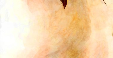 Soyut suluboya sanat eserleri. Fırça boyalı dijital resim. Renkli yaratıcı suluboya çizimi.