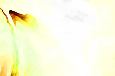 Soyut suluboya sanat eserleri. Fırça boyalı dijital resim. Renkli yaratıcı suluboya çizimi.