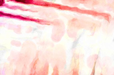 Soyut suluboya sanat eserleri. Fırça boyalı dijital resim. Renkli yaratıcı suluboya çizimi.