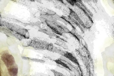 Soyut suluboya sanat eserleri. Fırça boyalı dijital resim. Renkli yaratıcı suluboya çizimi.