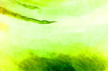 Soyut suluboya sanat eserleri. Fırça boyalı dijital resim. Renkli yaratıcı suluboya çizimi.