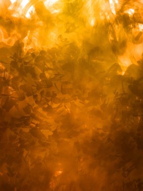 Vahşi ve büyük fırça darbeleri. Beyaz arka planda fırçalanmış soyut resim. Fırça darbesi ile boyanmış. Boya darbeleri. 2B Görüntü.