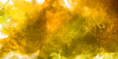 Vahşi ve büyük fırça darbeleri. Beyaz arka planda fırçalanmış soyut resim. Fırça darbesi ile boyanmış. Boya darbeleri. 2B Görüntü.