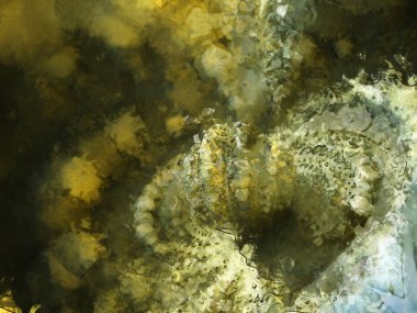 Tuval üzerinde etkileyici fırçalanmış resim. Soyut doku. 2D çizim. Geniş fırça darbeleri. Modern dijital sanat. Çağdaş fırça. Modern ifade. Popüler biçim boyanmış resim.