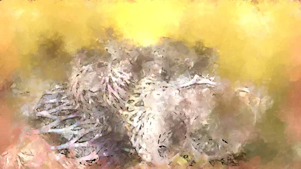 Tuval Üzerinde Etkileyici Fırçalanmış Resim Soyut Doku Çizim Geniş Fırça — Stok fotoğraf