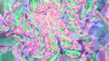 Modern fırça darbeleri. Poster, duvar sanatı, afiş, kart, kitap kapağı veya ambalaj için rahatlatıcı kompozisyonun yumuşak renkli çizimi. Pastel renklerle suluboya.