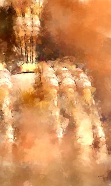 Tuval üzerinde etkileyici fırçalanmış resim. Soyut doku. 2D çizim. Geniş fırça darbeleri. Modern dijital sanat. Çağdaş fırça. Modern ifade. Popüler biçim boyanmış resim.