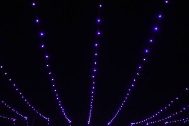 Tarih 12 / 11 / 2020, Gandhidham, Kutch-Gujarat, Hindistan Diwali Kutlaması 'nda aydınlatma süslemesi