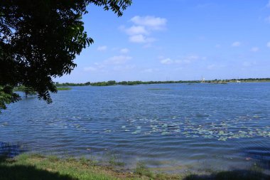 KUTCH, GUJARAT, Mavili Su Gölü