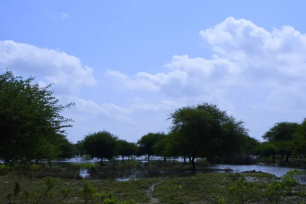 Kutch Gujarat Mavili Gölü — Stok fotoğraf