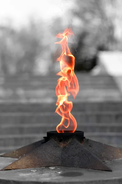Flame of an eternal flame — Stock Photo, Image