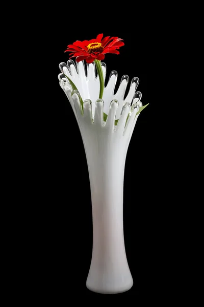 Glass vase with a flower — Stock Photo, Image