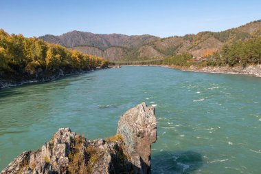 Rusya 'nın Altai Cumhuriyeti' ndeki Katun Dağı turkuvaz nehri.