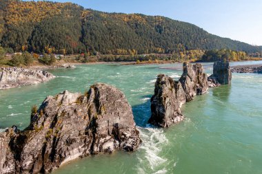 Rusya 'nın Altai Cumhuriyeti' ndeki Katun Dağı turkuvaz nehri.