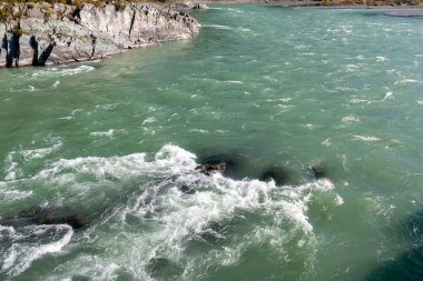 Rusya 'nın Altai Cumhuriyeti' ndeki Katun Dağı turkuvaz nehri.