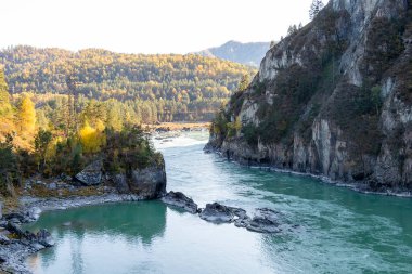 Rusya 'nın Altai Cumhuriyeti' ndeki Katun Dağı turkuvaz nehri.