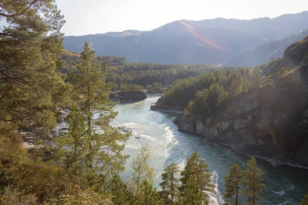 Montagne Rivière Turquoise Katun Dans République Altaï Russie Images De Stock Libres De Droits