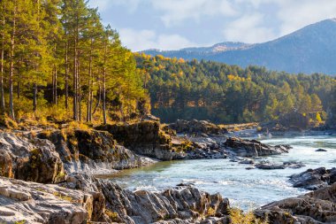 Rusya 'nın Altai Cumhuriyeti' ndeki Katun Dağı turkuvaz nehri.