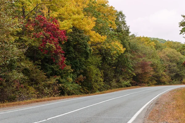 Herfst weg — Stockfoto