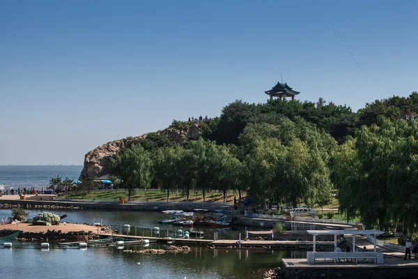 Resepsiyonda Çin City yuva güvercinler platformu Anketi