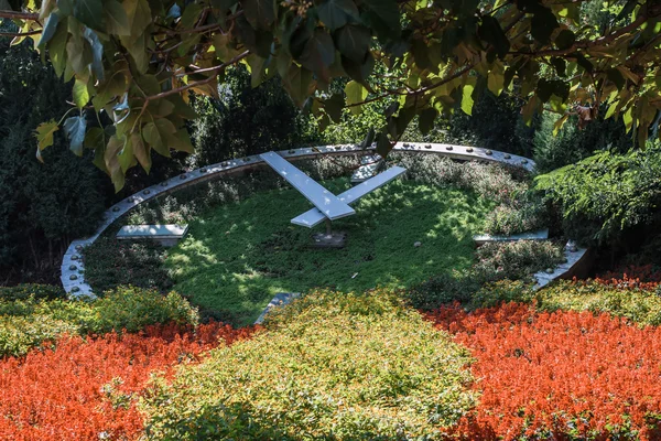 市の北戴河での開花時間 ストック画像