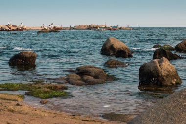 Çin'de sarı deniz kıyısı