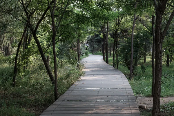 The Olympic Park in Beidaihe city — Stock Photo, Image