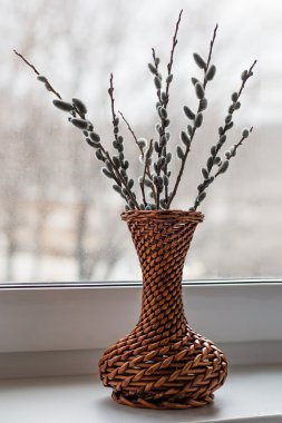 söğüt dalları