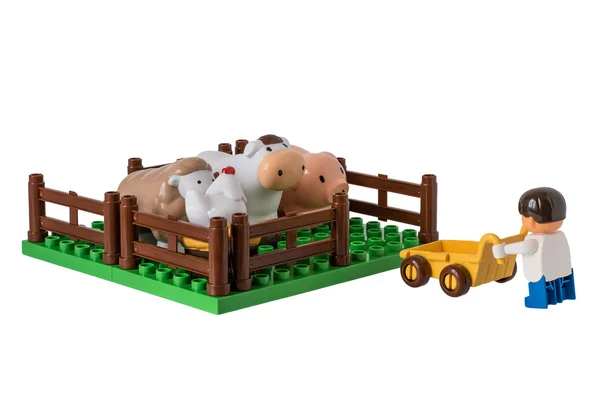Çocuk Çiftlik ile evcil hayvan