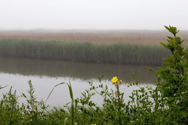 Morgendämmerung auf dem Fluss — Stockfoto