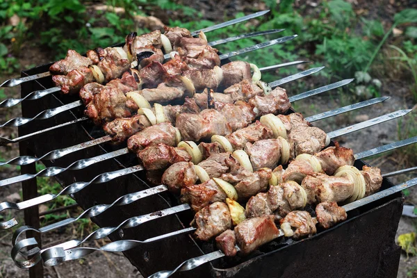 Bir ateş et parçaları