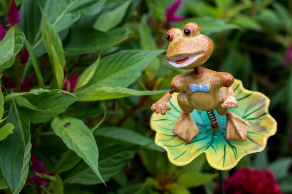 Ferro sapo jovem em um jardim — Fotografia de Stock