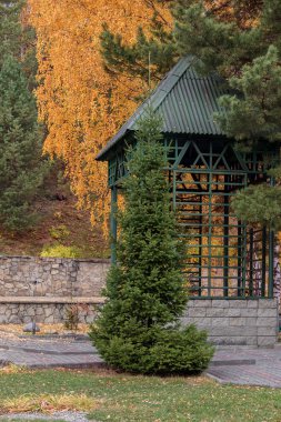 Altay sonbahar manzara