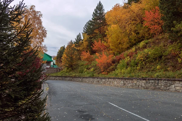 アルタイの秋の風景 — ストック写真