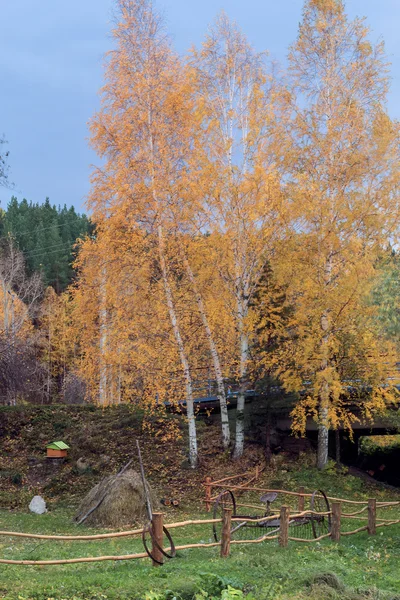 Altay sonbahar manzara — Stok fotoğraf