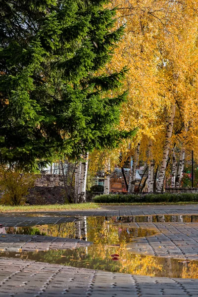 Podzimní krajina v Altajské — Stock fotografie