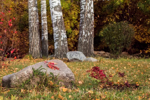 Paysage d'automne dans l'Altaï — Photo