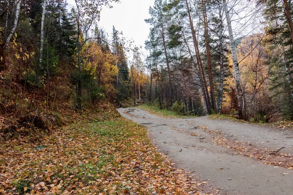 Altay sonbahar manzara