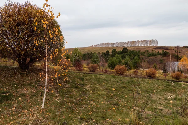 Paesaggio autunnale ad Altai — Foto Stock