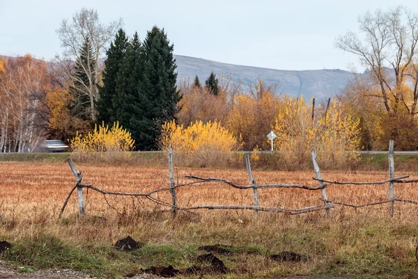 Paisaje otoñal en Altai —  Fotos de Stock