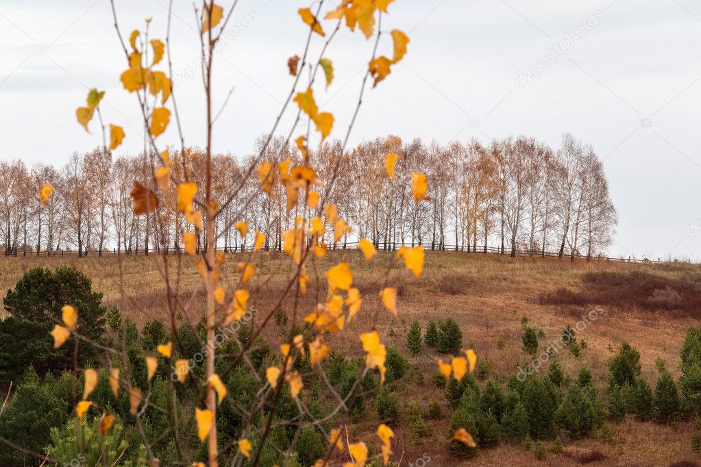 Autumn landscape in Altai