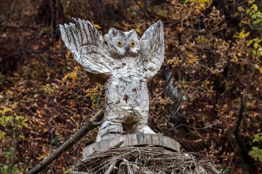 Ahşap baykuş figürü