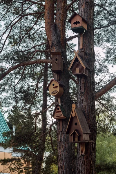 Podajniki drewniany ptaki — Zdjęcie stockowe
